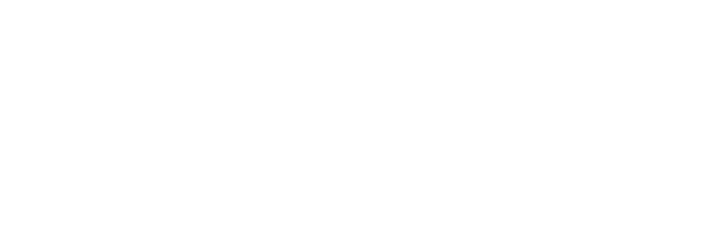 Bundesverband Deutscher Versicherungsmakler (BDVM)